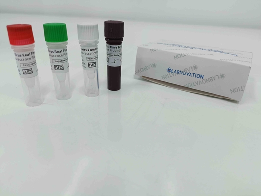 Real Time Monkeypox PCR Test Kit With Positive / Negative Control