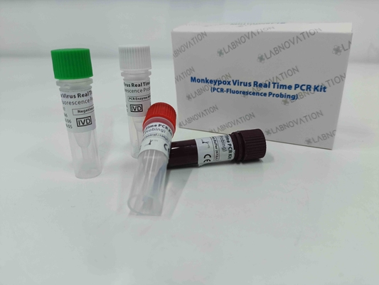 Monkeypox Virus PCR Rapid Test Kit Real Time For Human Serum Lesion Exudate Samples