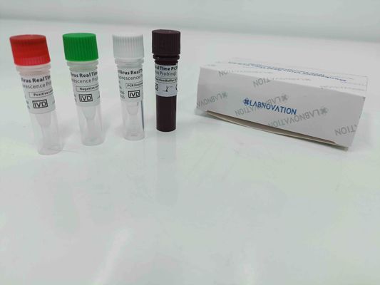 Quality  Real Time Monkeypox PCR Test Kit With Positive / Negative Control factory